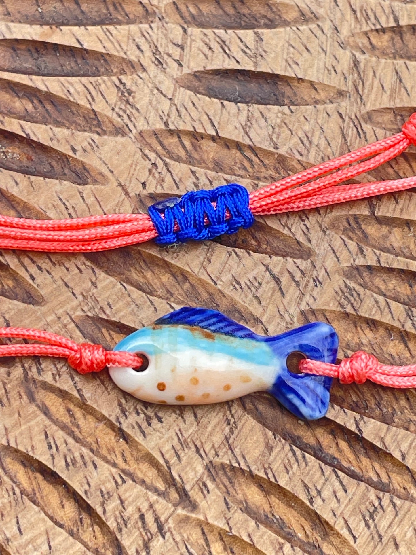 Catch of the Day - 08