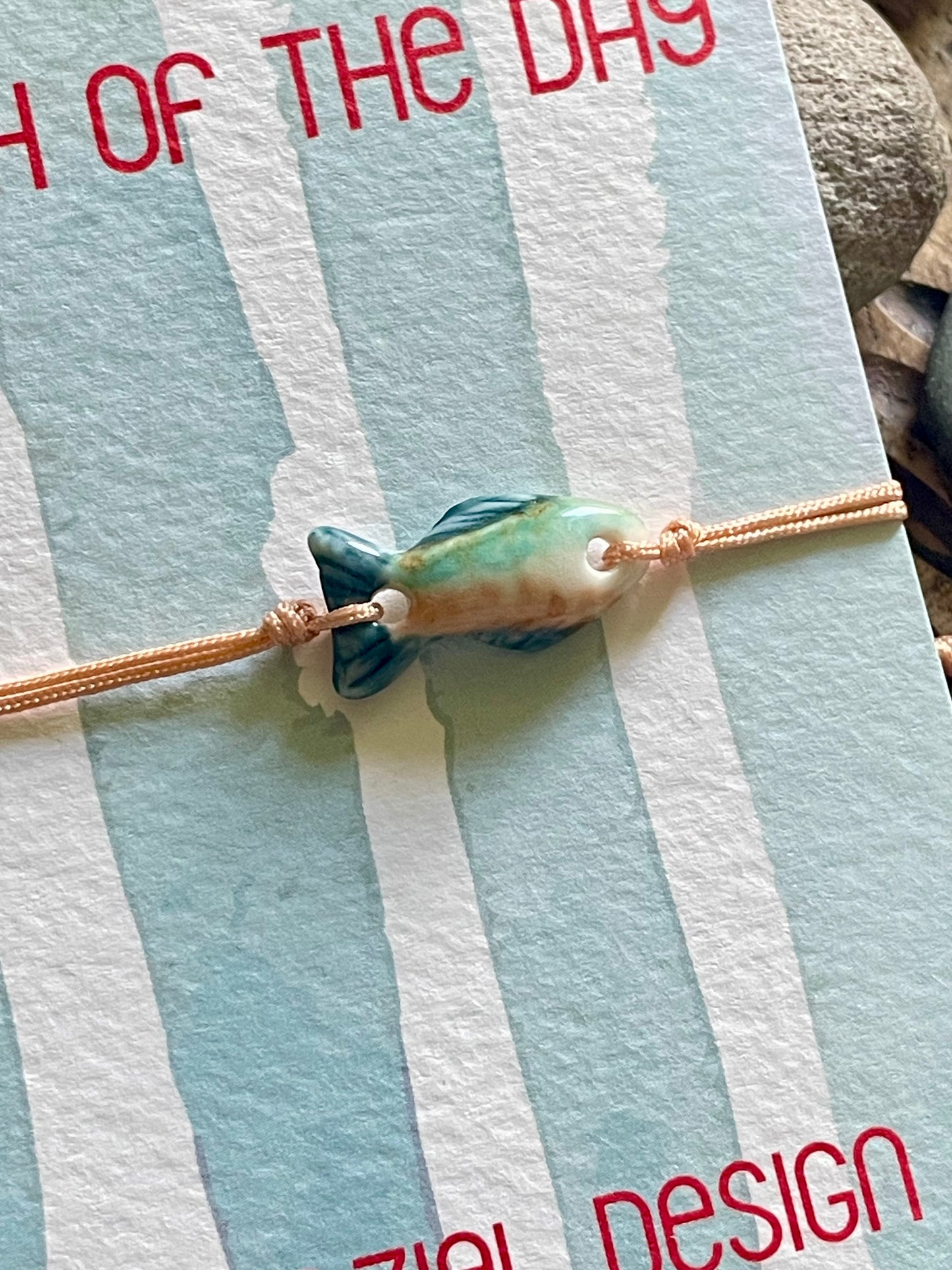 Catch of the Day - 15