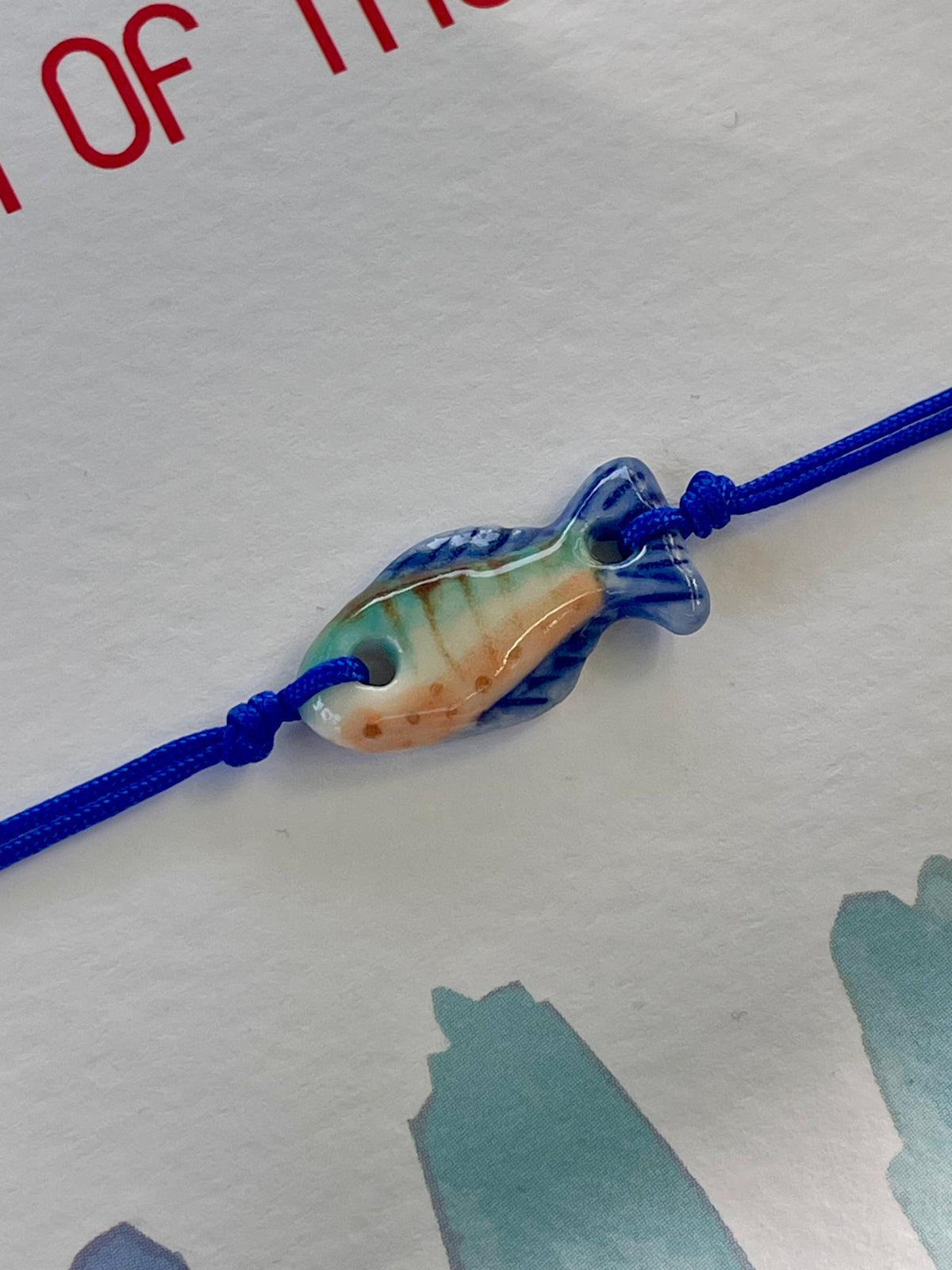 Catch of the Day - 18