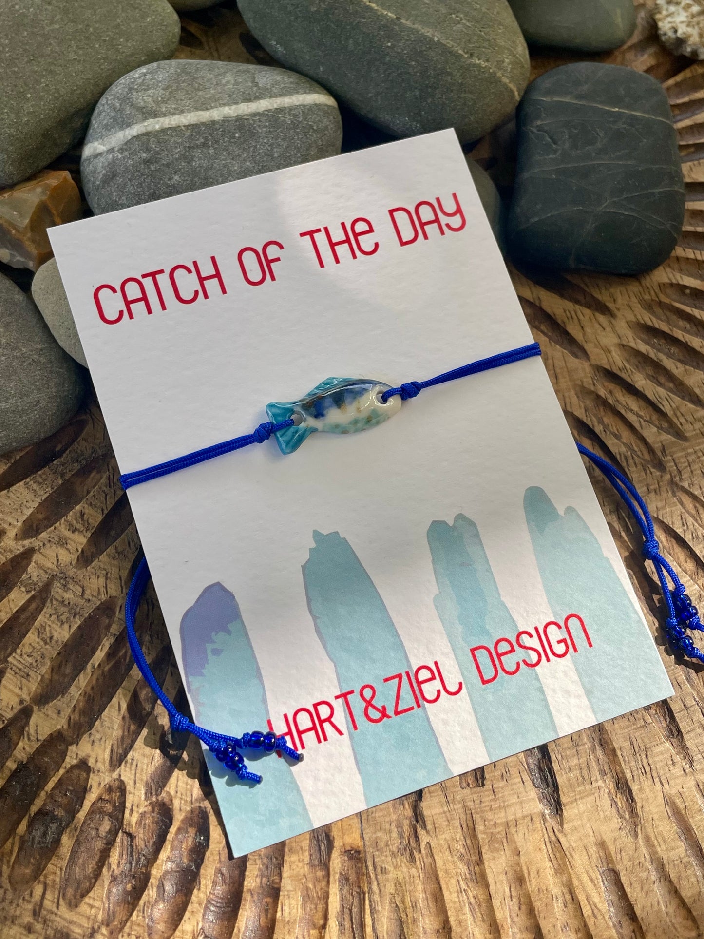 Catch of the Day - 20