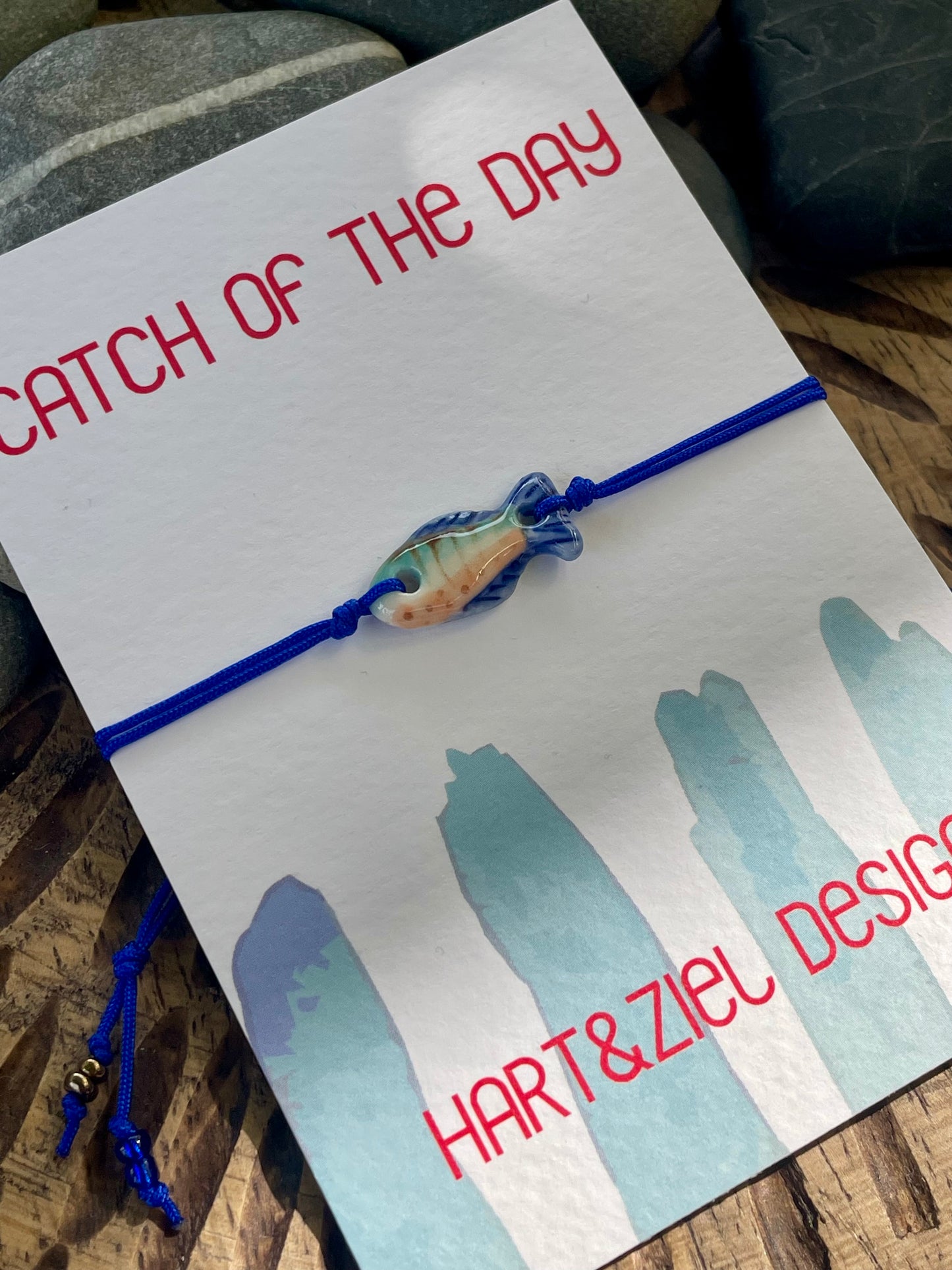 Catch of the Day - 18