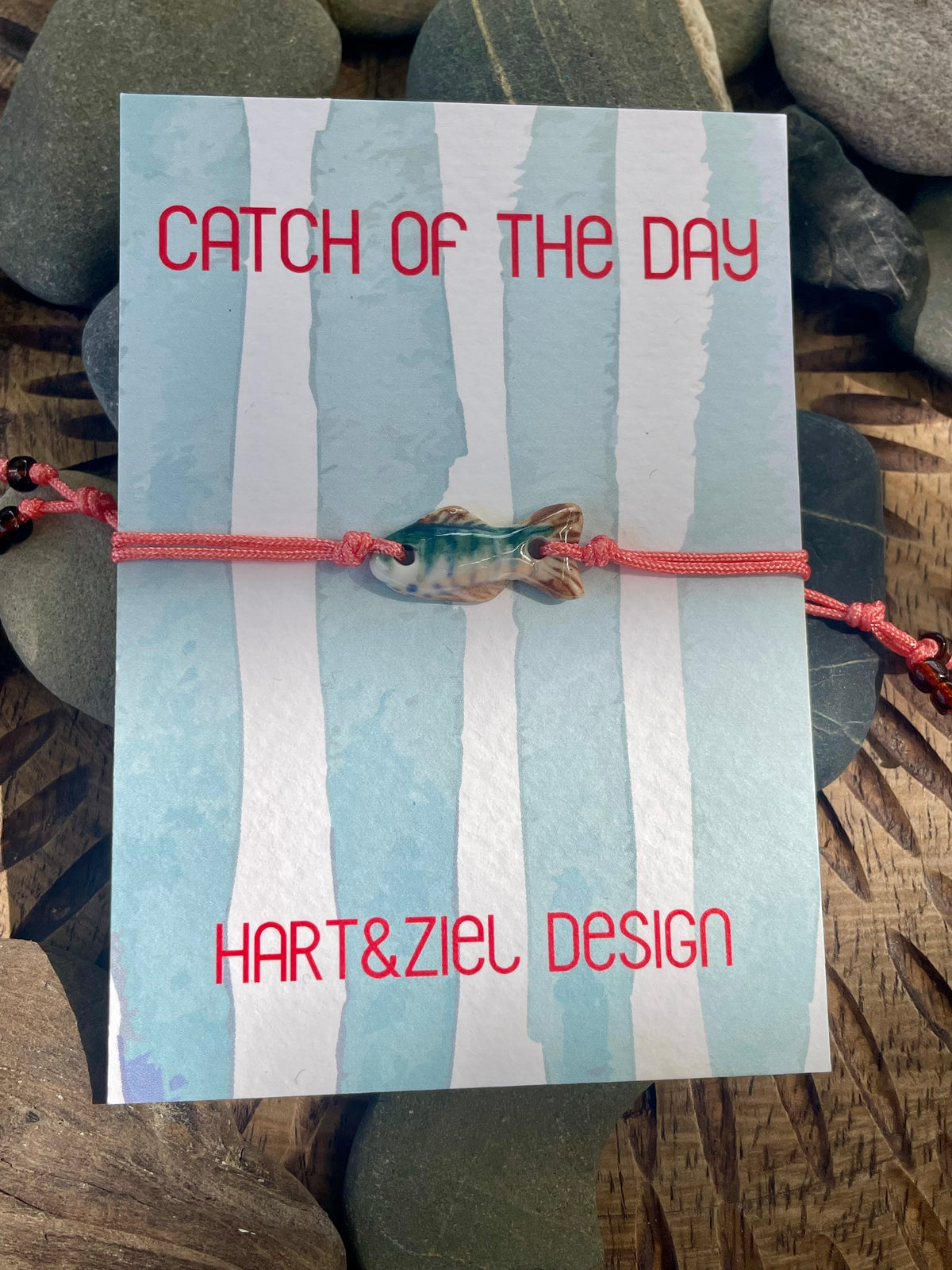 Catch of the Day - 17