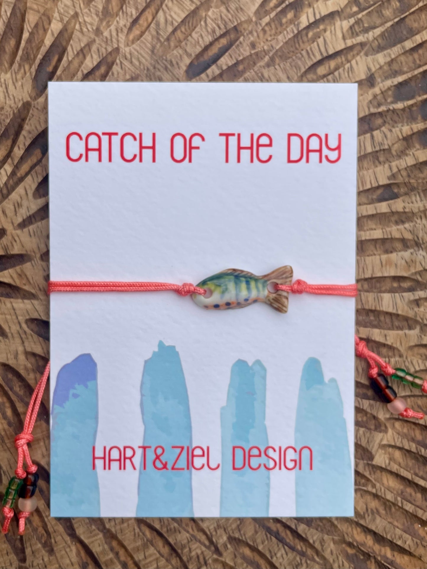 Catch of the Day - 05