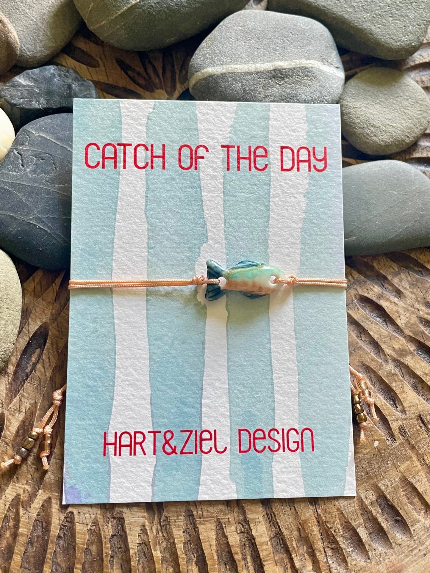 Catch of the Day - 15