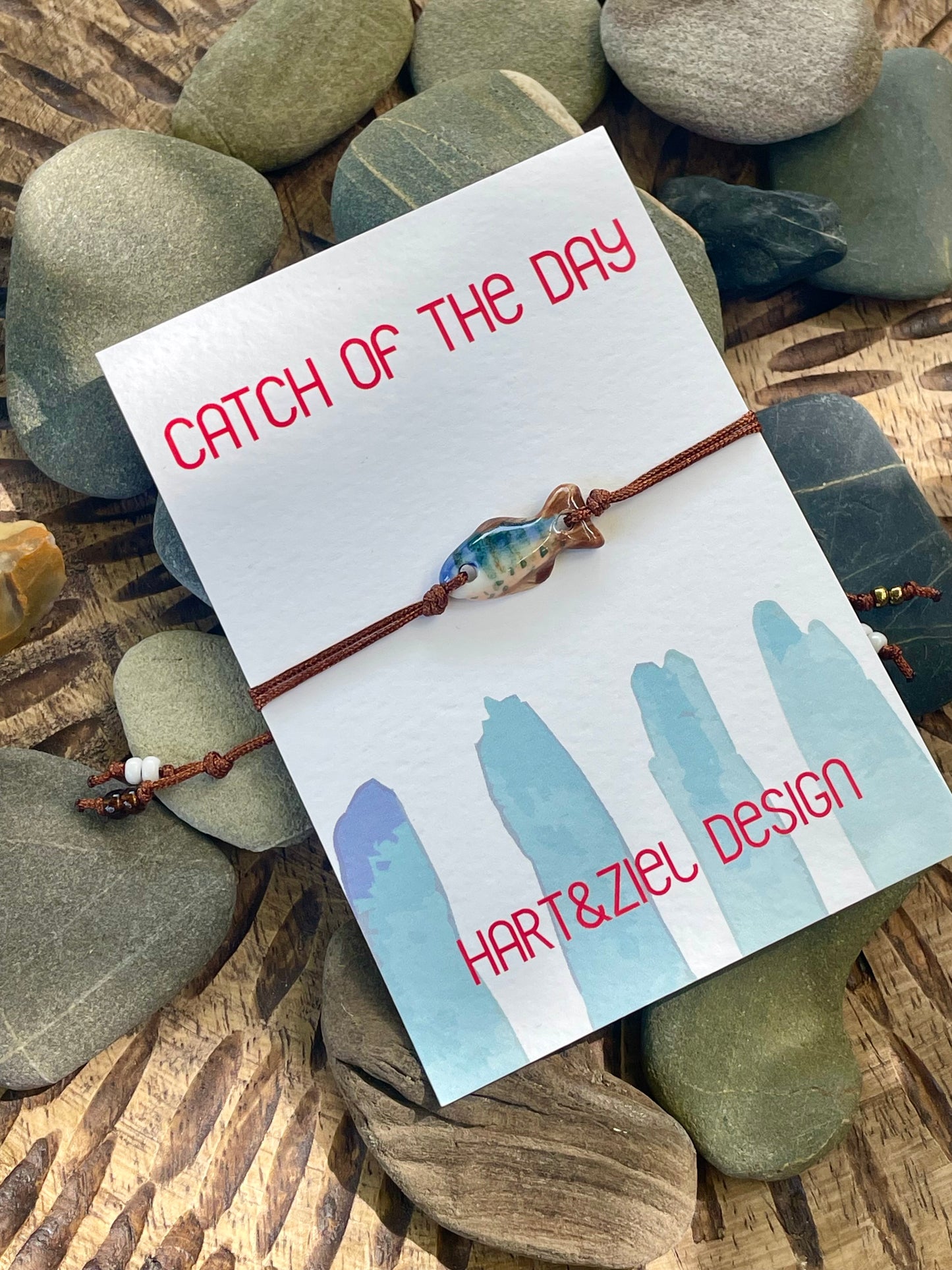 Catch of the Day - 19