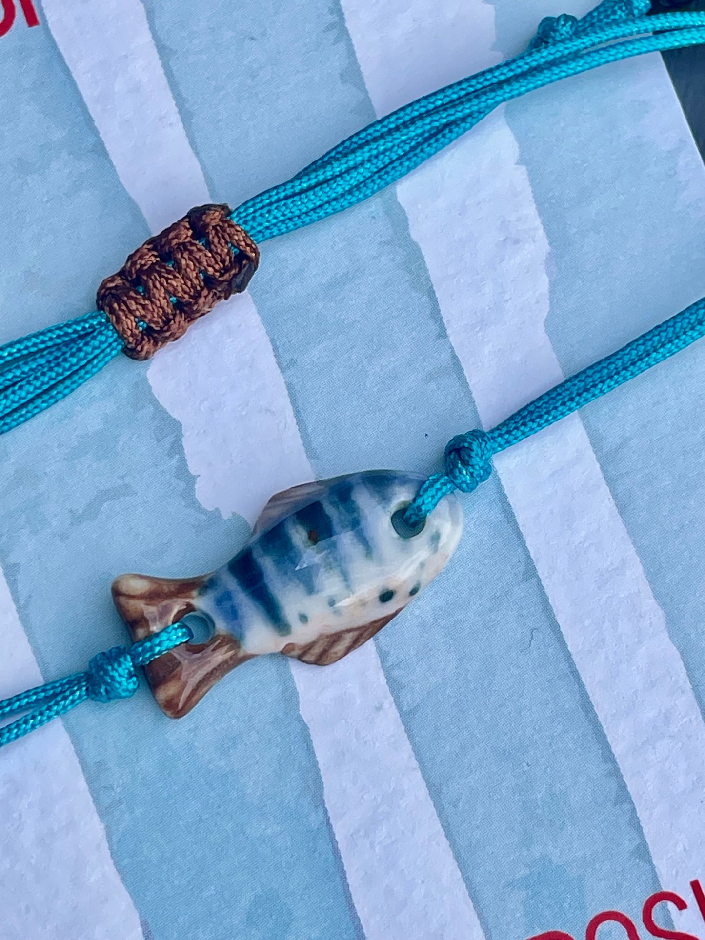 Catch of the Day - 04