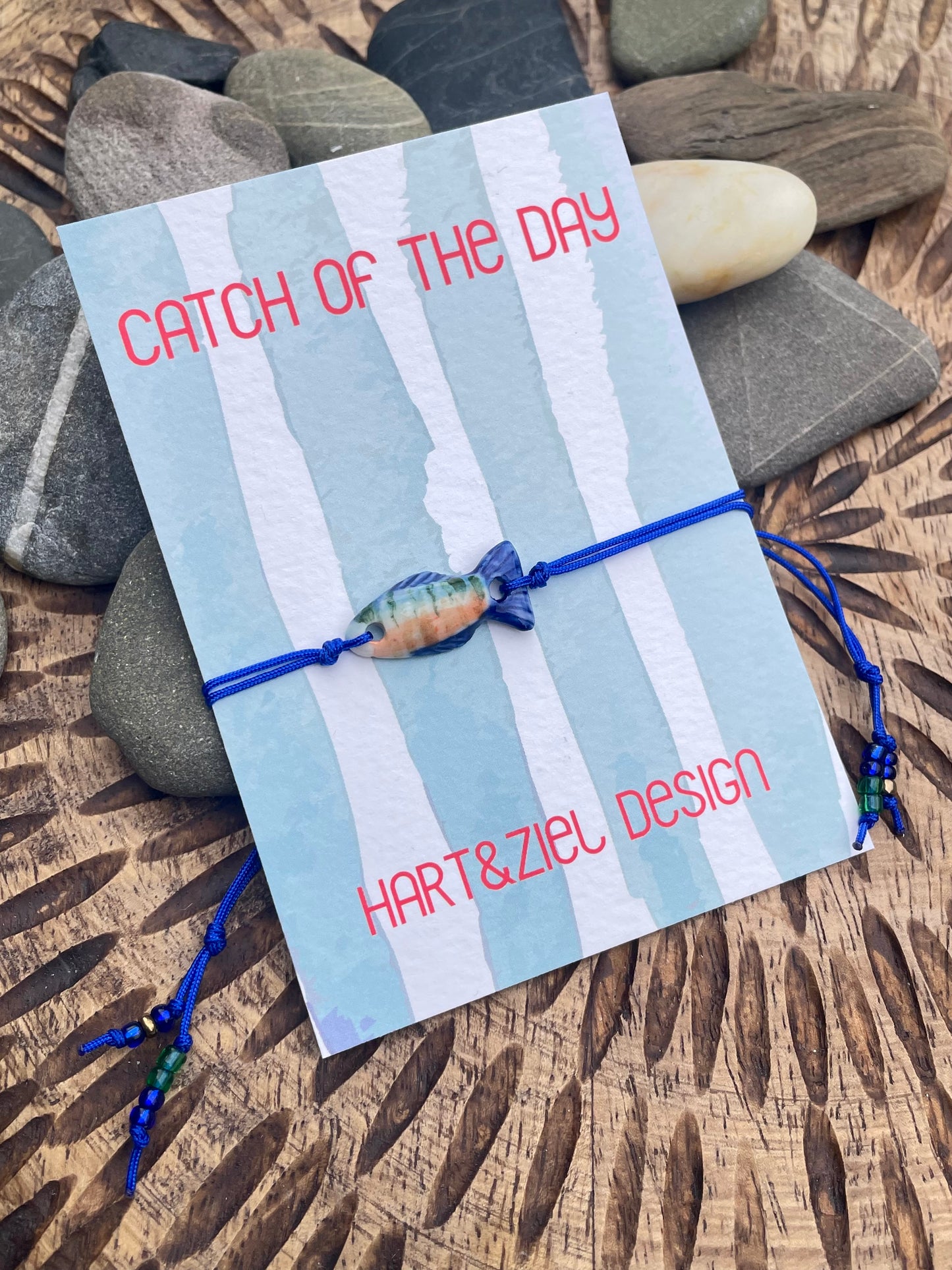 Catch of the Day - 06