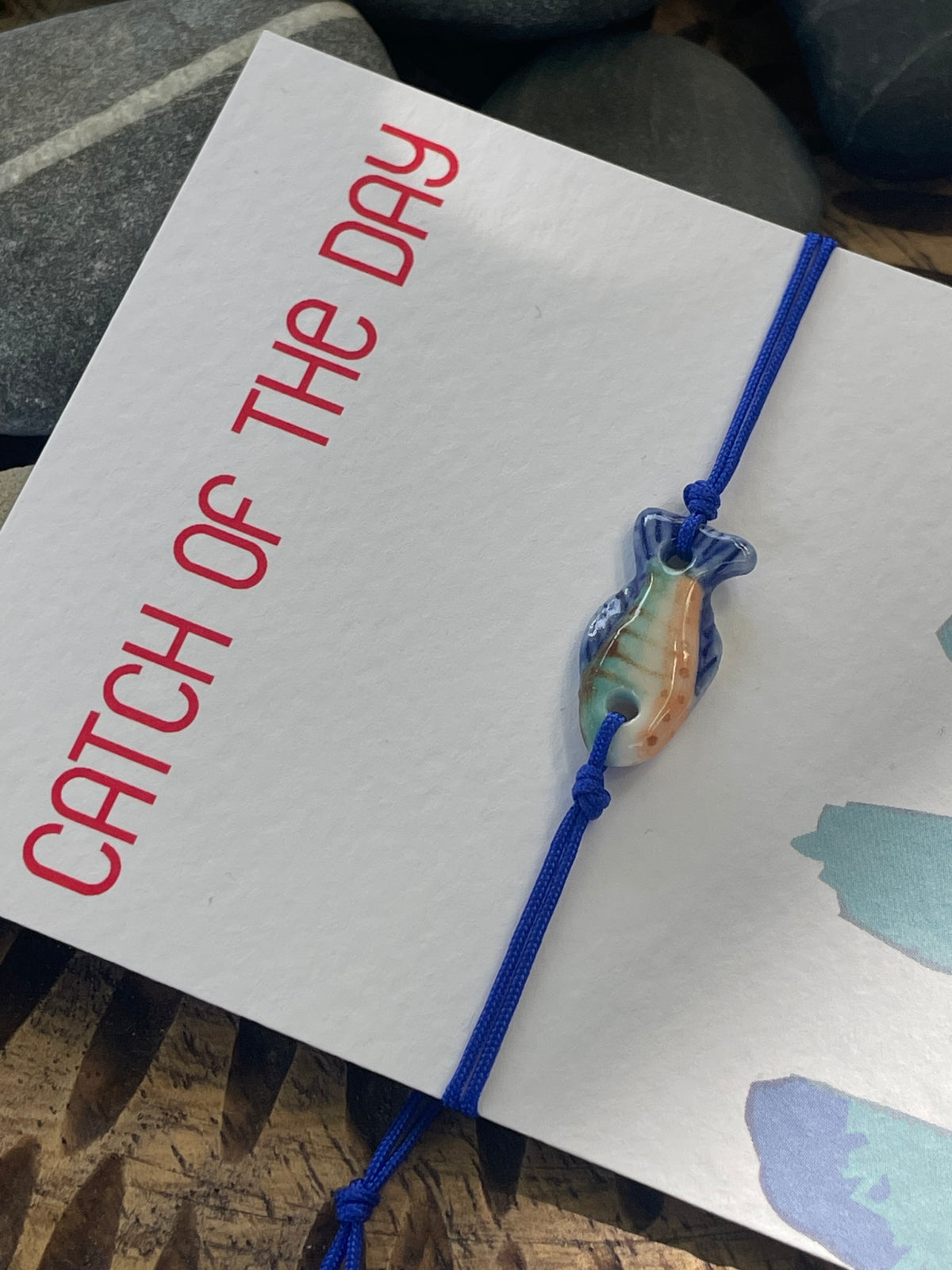 Catch of the Day - 18