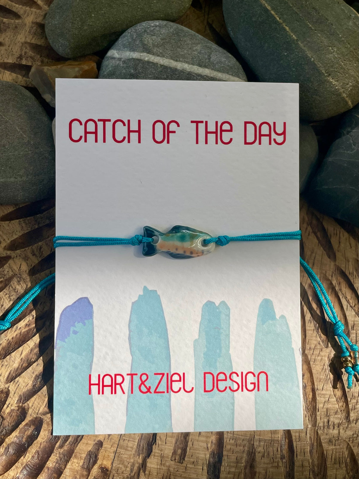 Catch of the Day - 18