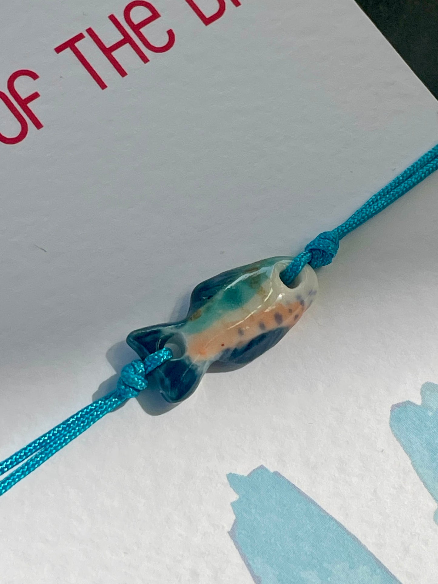 Catch of the Day - 18