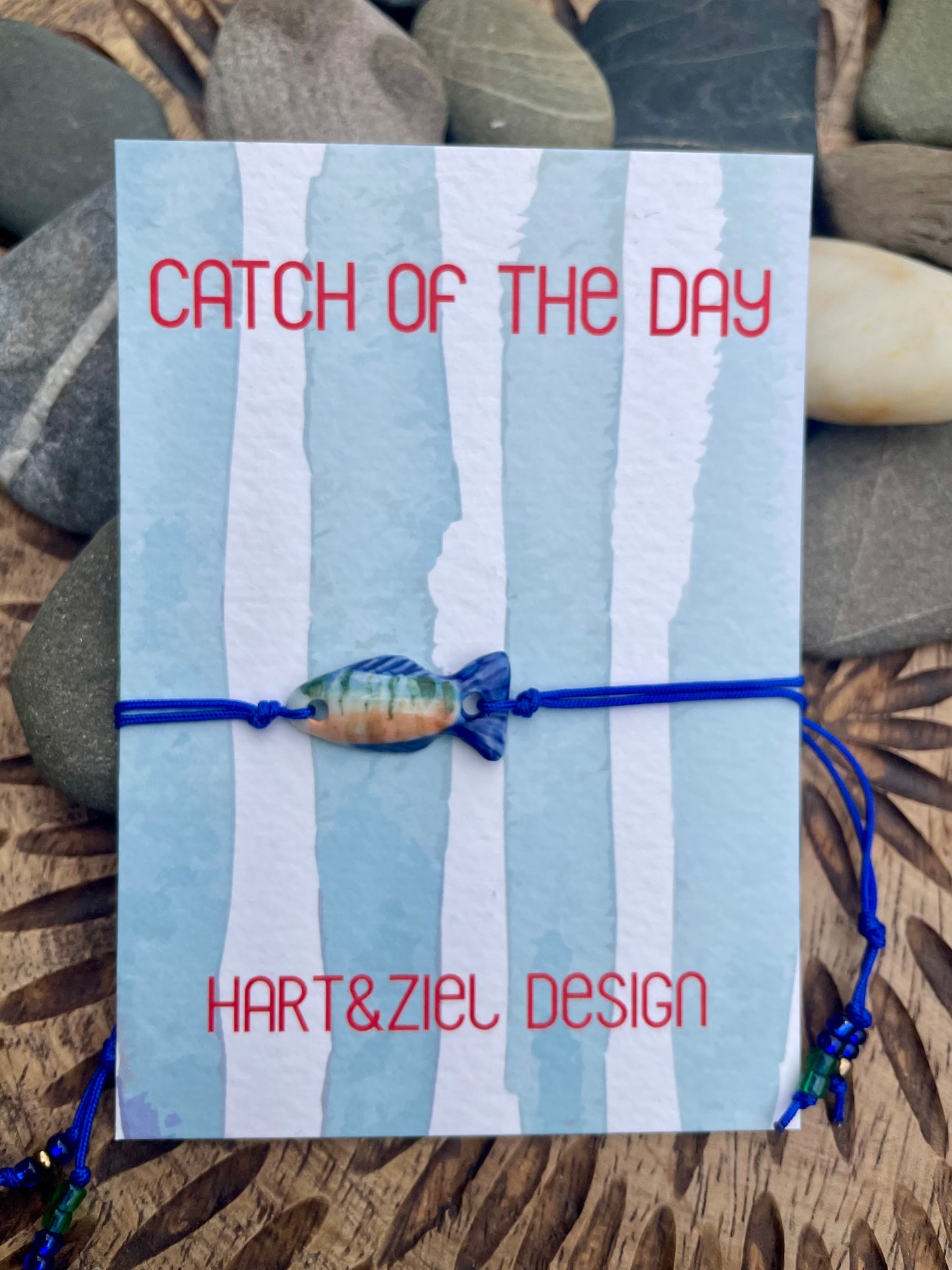 Catch of the Day - 06