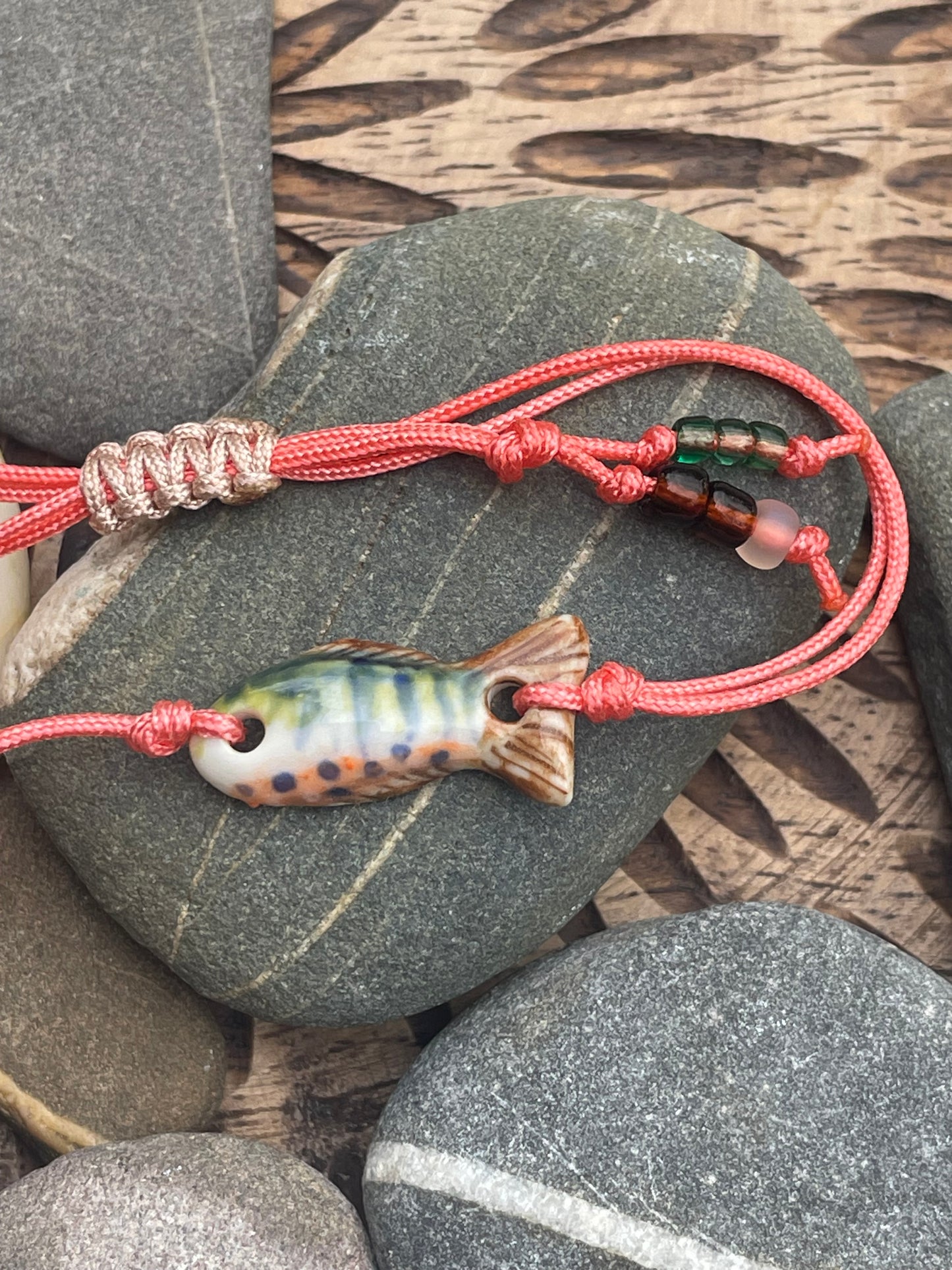 Catch of the Day - 05